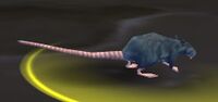 Image of Deeprun Rat