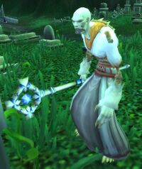 Image of Shadow Priest Allister