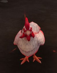 Image of Furious Chicken