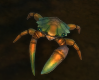 Image of Scuttleclaw Skimmer