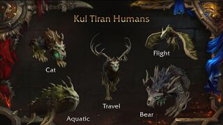 Kul Tiran druid Bear, Cat and Travel Forms.