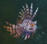 Image of Disturbed Frillfish