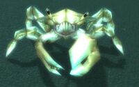 Image of Spined Crawler
