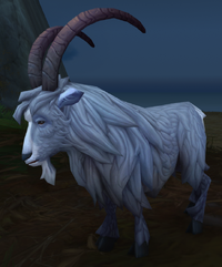 Image of Craghorn Goat