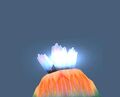 Glowleaf Coral.jpg