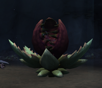 Image of Greater Venomsprout