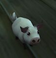 A pig in World of Warcraft.