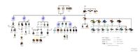 A tree of the Titanic races. Speculation is minimized but it's absense is not garanteed.