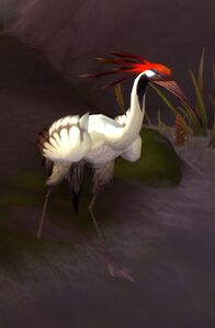 Image of Stormsong Crane