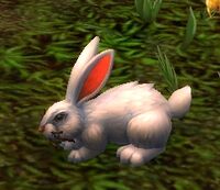 Image of Elfin Rabbit