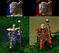 Comparison between a high elf priest and blood elf priest.