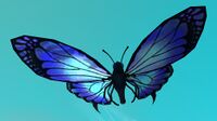 Image of Vibrant Butterfly