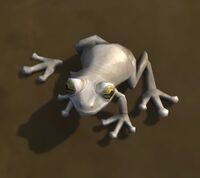 Image of Troglofrog