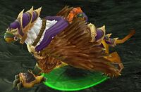 Image of Wildhammer Gryphon Rider
