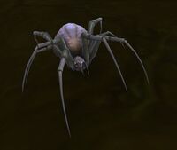 Image of Cavern Crawler