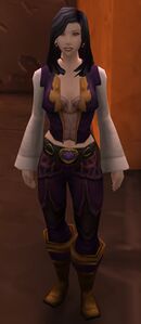 Image of Stormwind Commendation Officer
