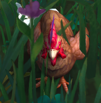 Image of Unexplainable Mystery Chicken