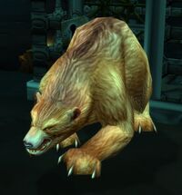 Image of Uncorrupted Thistle Bear